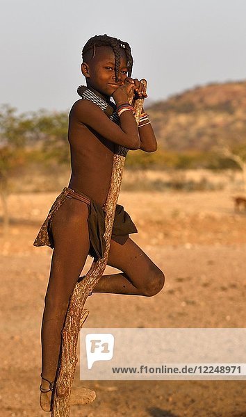 Himbamädchen on a dry tree  Kunene  Kaokoveld  Namibia  Africa