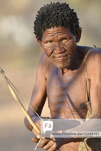 San man with bow and arrow  Bushman tribe  Kalahari  Namibia  Africa