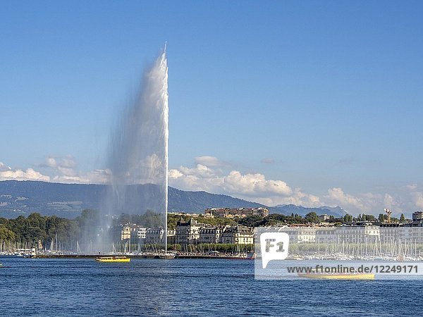 Lake Geneva with the fountain Jet d'Eau  Geneva  Switzerland  Europe