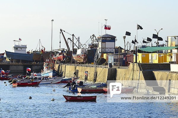 Fischerboote im Hafen  Antofagasta  Región de Antofagasta  Chile  Südamerika