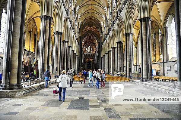 Gothic St. Mary's Cathedral  Salisbury  Cornwall  Great Britain