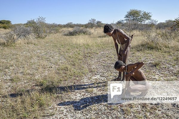 Buschmänner der Ju/' Hoansi-San auf traditioneller Jagd mit Pfeil und Bogen  Spuren lesen  Dorf //Xa/oba  bei Tsumkwe  Otjozondjupa-Region  Namibia  Afrika