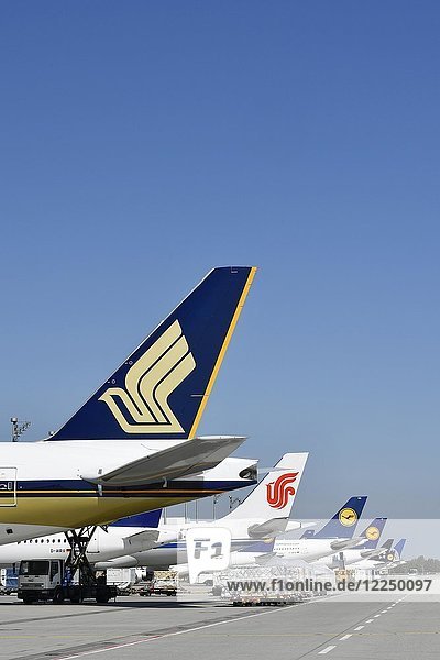 Flugzeuge diverser Airlines angedockt am Terminal 2 Singapore Airlines Air China Lufthansa United Airlines Flughafen München Deutschland Europa