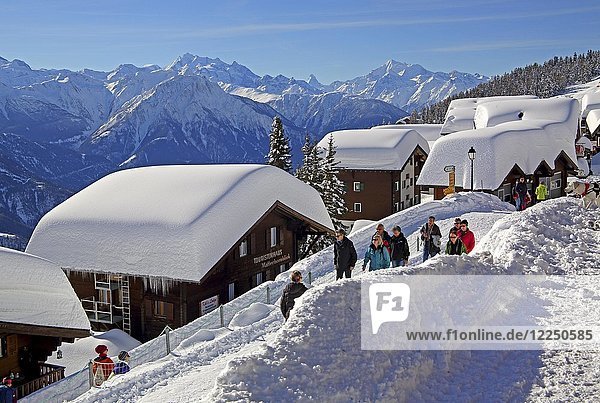 Dorfstrasse mit schneebedeckten Chalets im Dorf Richtung Dom 4545m  Matterhorn 4478m und Weisshorn 4505m  Bettmeralp  Aletschgebiet  Oberwallis  Wallis  Schweiz  Europa
