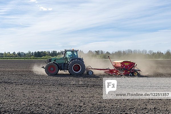 Tractor with seed drill working a field in spring  Syddanmark  Denmark  Europe