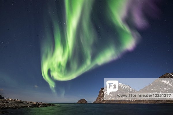 Nordlichter  Aurora Borealis  Haukland  Lofoten  Norwegen  Europa