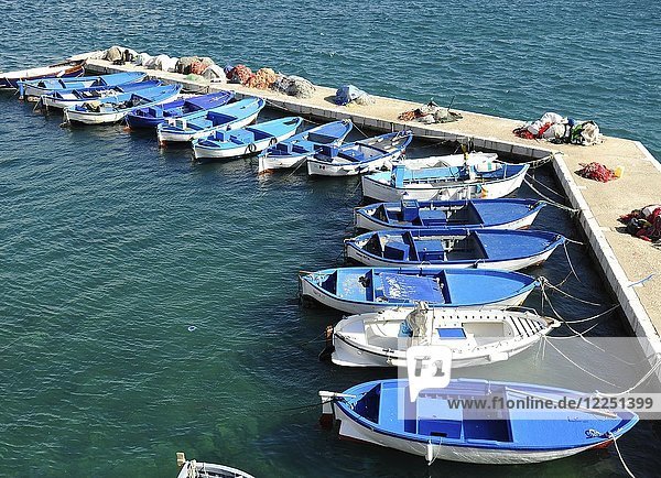 Port with fishing boats  Gallipoli  Apulia  Italy  Europe