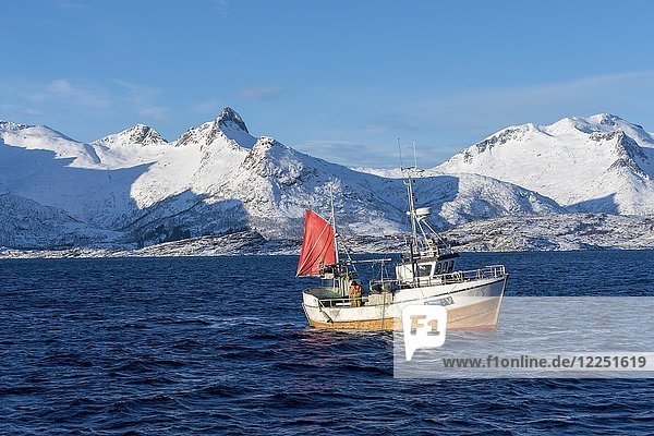 Fishing boat  Lofoten  Norway  Europe