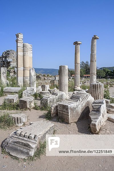Ruinen von Säulen  historische helenistische und römische Ausgrabungsstätte  Ephesus  Türkei  Asien