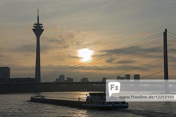 Frachtschiff auf dem Rhein  Gegenlicht  Düsseldorf  Nordrhein-Westfalen  Deutschland  Europa