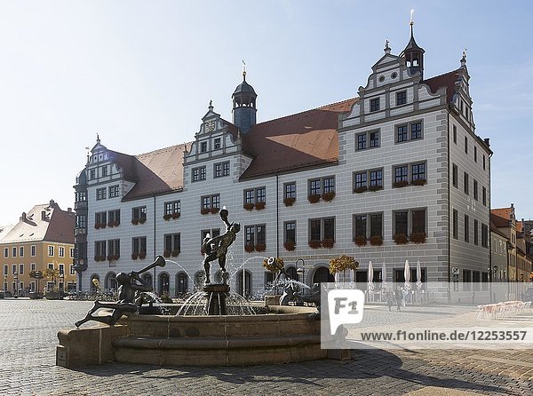 Springbrunnen auf dem Marktplatz vor dem Rathaus  Torgau  Sachsen  Deutschland  Europa