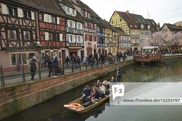 Touristenboot und Fachwerkhäuser am Kanal in der Altstadt Petite Venise Colmar Elsass Frankreich Europa