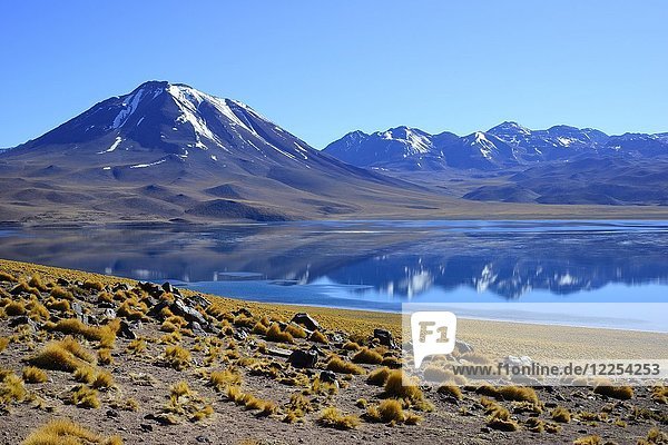 Laguna Miscanti on the Altiplano  Reserva nacional Los Flamencos  near San Pedro de Atacama  Región de Antofagasta  Chile  South America