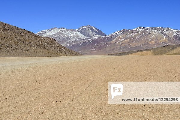 Piste auf dem Altiplano  Reserva Nacional de Fauna Andina Eduardo Abaroa  Sur Lípez  Potosí  Bolivien  Südamerika