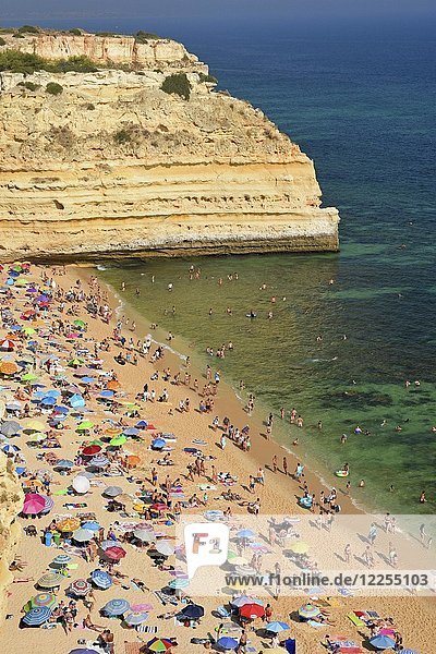 Viele Badegäste am Strand  Praia da Marinha  Südküste  Algarve  Portugal  Europa