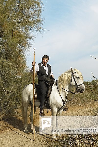 Gardian oder traditioneller Stierhirte in typischer Arbeitskleidung auf einem Camargue-Pferd  Le Grau-du-Roi  Camargue  Frankreich  Europa