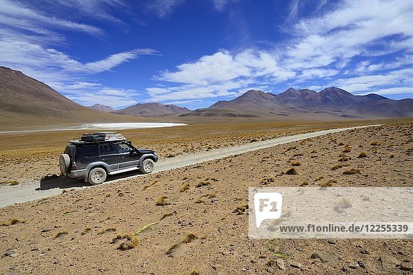 Off-road vehicle on the lagoon route  Nor Lípez province  Potosi department  Bolivia  South America