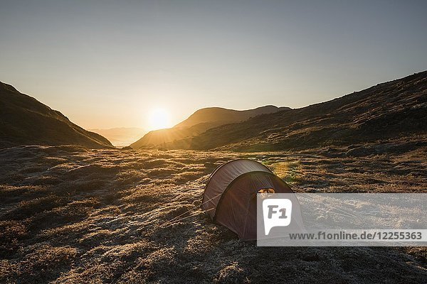 Eisbedecktes Zelt im Morgenlicht  Berglandschaft  Grönland  Nordamerika