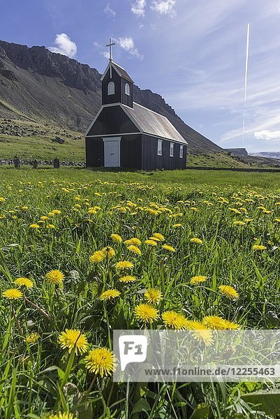 Kleine Holzkirche auf der Löwenzahnwiese  Patreksfjörður  Vestfirðir  Island  Europa