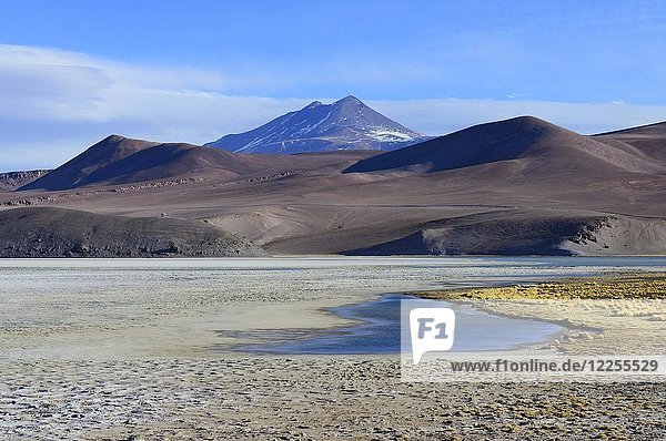 Laguna Santa Rosa with the volcanoes Nevado Ojos del Salado  National Park Nevado Tres Cruces  Región de Atacama  Chile  South America