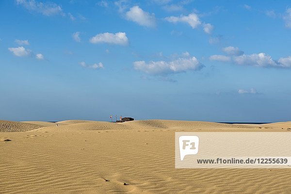 Sanddünen und blauer Himmel  Praia da Bordeira  Carrapateira  Algarve  Westküste  Atlantik  Portugal  Europa