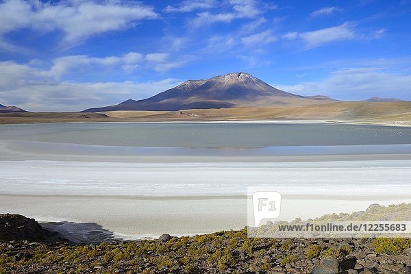 Typical landscape on the Laguna Hedionda  lagoon route  Nor Lípez province  Potosi department  Bolivia  South America
