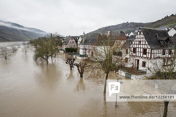 Hochwasser an der Mosel  Reil  Rheinland Pfalz  Deutschland  Europa