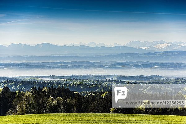Blick über den Bodensee mit Schweizer Alpen  Linzgau  Bodenseekreis  Oberschwaben  Baden-Württemberg  Deutschland  Europa