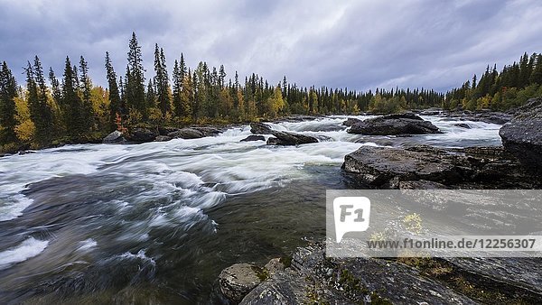 Stromschnellen von Gamajåhkå  Flüsse  Kvikkjokk  Laponia  Norrbotten  Lappland  Schweden  Europa