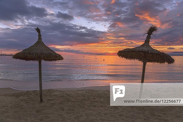 Strohgedeckte Sonnenschirme am Strand s'Arenal  Palma de Mallorca  Mallorca  Balearen  Spanien  Europa