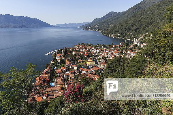 View of Cannero Riviera and Lago Maggiore  Verbano-Cusio-Ossola Province  Piedmont Region  Italy  Europe