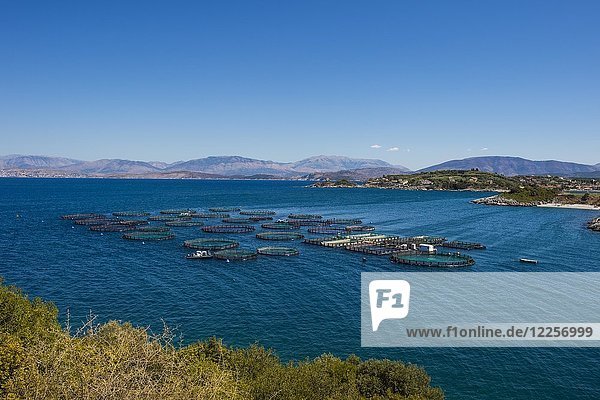 Fischfarm in Kassiopi  Korfu  Ionische Inseln  Griechenland  Europa