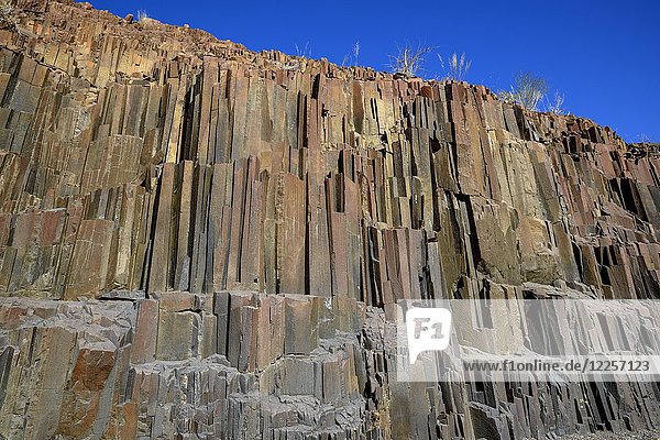 Basaltsäulen  Orgelpfeifen aus Basalt  bei Twyfelfontein  Kunene-Region  Namibia  Afrika