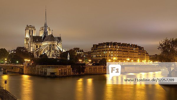 Notre Dame mit Fluss Seine  Nachtaufnahme  Île de la Cité  Paris  Frankreich  Europa