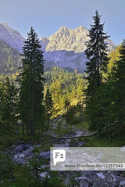 Gipfel des Laliderer Falk  Risser Falk und Kleiner Falk  Übersicht von der Garberl-Alm  Hinterriss  Tirol  Österreich  Europa