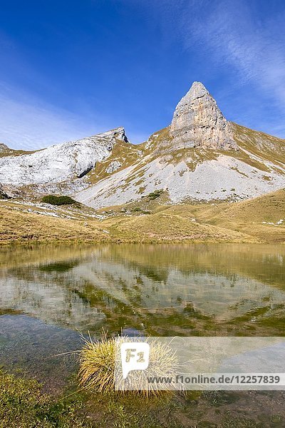 Grubalacke  dahinter Gipfel Seekarlspitze und Rosskopf  Herbst  Rofangebirge  Tirol  Österreich  Europa