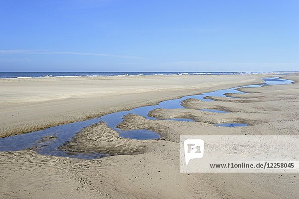 Beach at low tide  North Sea  Norderney  East Frisian Islands  Lower Saxony  Germany  Europe