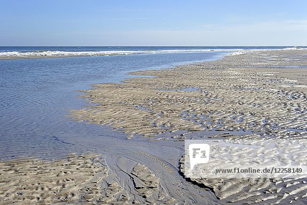 Beach at low tide  wavelike structure  ripple in wet sand  North Sea  Norderney  East Frisian Islands  Lower Saxony  Germany  Europe