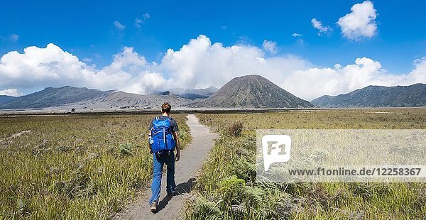 Junger Mann in der Caldera auf dem Weg zum Krater des Gnung Bromo  rauchender Vulkan Gunung Bromo  Mt. Batok  Mt. Kursi  Mt. Gunung Semeru  Tengger Caldera  National Park Bromo-Tengger-Semeru  Java  Indonesien.