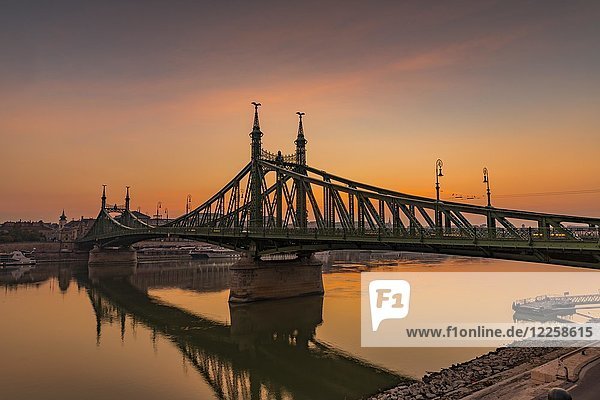 Freiheitsbrücke mit Donau  Morgendämmerung  Budapest  Ungarn  Europa