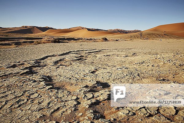 Ausgetrocknete Erde vor Sanddünen  Salz-Ton-Pfannen  Sossusvlei  Namib-Wüste  Namib-Naukluft-Nationalpark  Namibia  Afrika