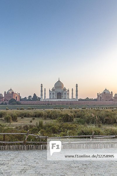 Taj Mahal  gesehen von der anderen Seite des Yamuna-Flusses  Agra  Uttar Pradesh  Indien  Asien