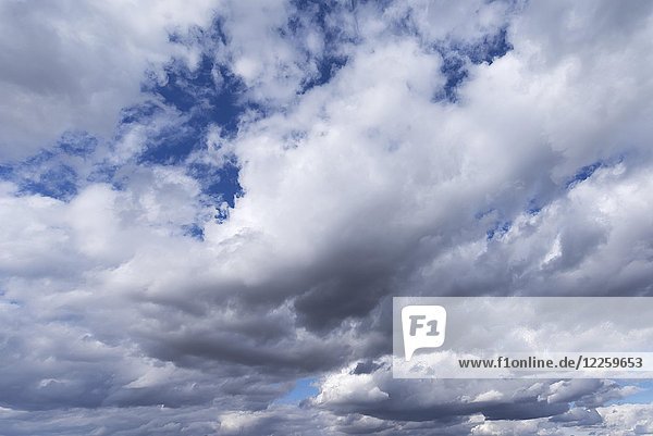 Aufziehende Regenwolken (Nimbostratus)  Hintergrundbild  Bayern  Deutschland  Europa