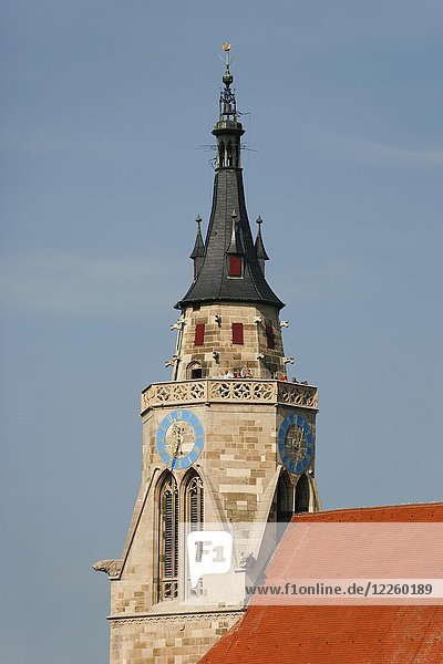 Glockenturm der Stiftskirche  Tübingen  Baden-Württemberg  Deutschland  Europa