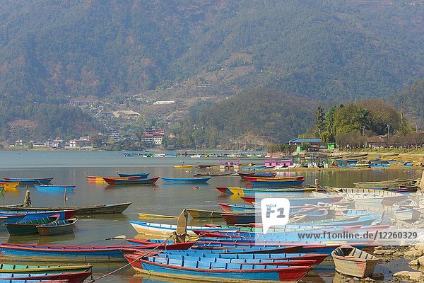 Bunte Boote auf dem Phewa-See  Pokhara  Nepal  Asien