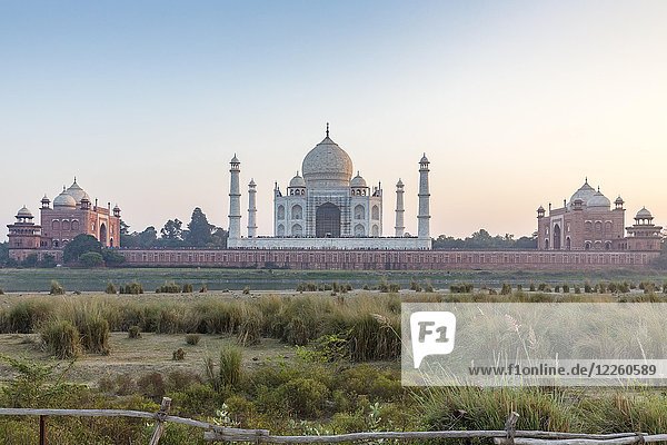 Taj Mahal  Agra  Uttar Pradesh  Indien  Asien
