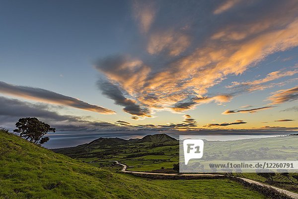 Straße durch grüne Wiesen  hügelige Landschaft bei Sonnenaufgang mit Wolken  Insel Pico  Azoren  Portugal  Europa