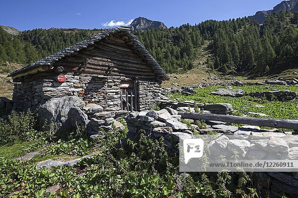 Typisches Tessiner Steinhaus auf der Alpe Corte di Mognola  Fusio  Lavizzara  Kanton Tessin  Schweiz  Europa