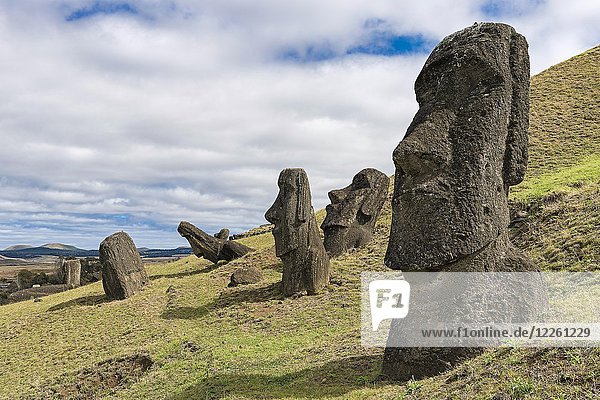 Moais in Rano Raraku  Rapa Nui National Park  Osterinsel  Rapa Nui Insel  Osterinsel  Chile  Südamerika