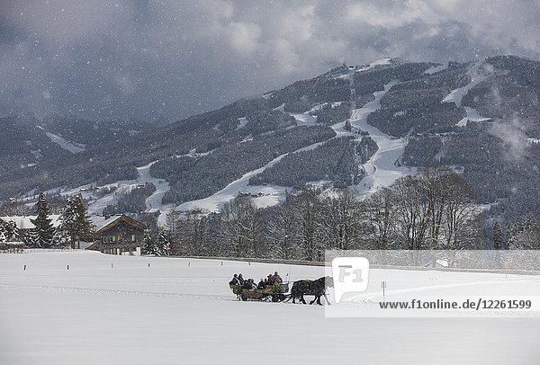 Pferdekutsche im Schnee  Schneefall  bei Schladming  Ramsau am Dachstein  Steiermark  Österreich  Europa